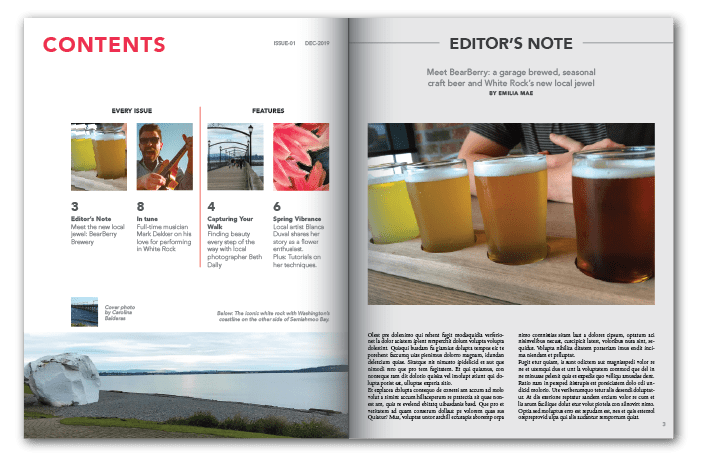 District Magazine - Double spread: contents and editor's note